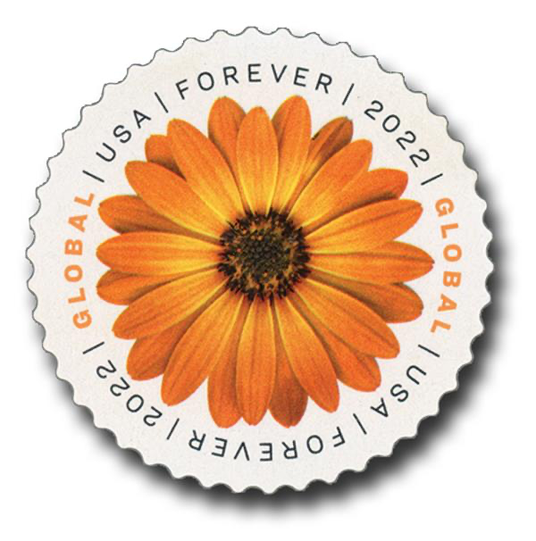 Global African Daisy International Self-Stick