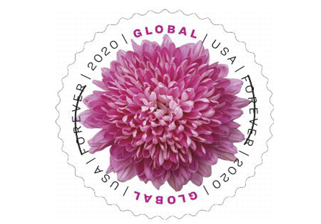 Global Chrysanthemum Global International Self-Stick